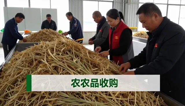 本草元素生物科技（厦门）有限公司专注农产品收购，提供完善农业技术咨询包方案