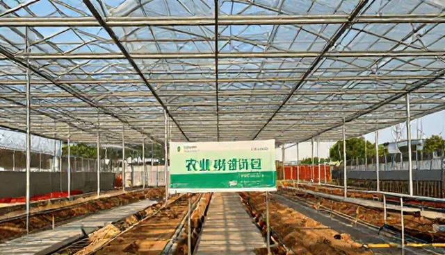 病虫害防治：企业如何选择适合的防治策略